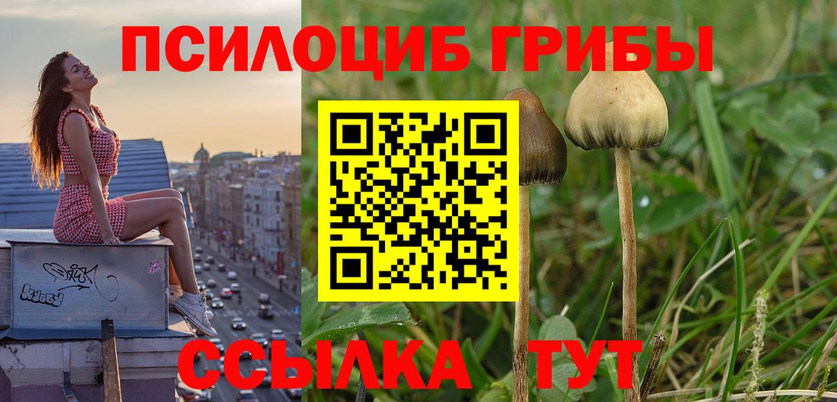 Псилоцибиновые грибы GOLDEN TEACHER Нижневартовск